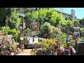 20260516 Backyard Update after major bush prunings 11 07 42