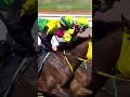 Knight's Choice wins the 2024 Melbourne Cup in a photo finish