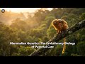 Mammalian Genetics: The Evolutionary Biology of Paternal Care Mp3 Song