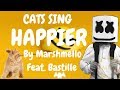 Cats Sing Happier by Marshmello ft. Bastille | Cats Singing Song