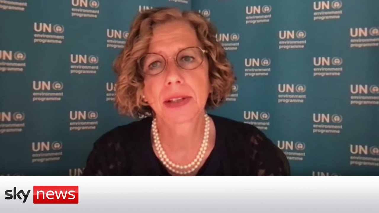 The Daily Climate Show: UN climate panel reveals human impact on climate change