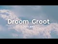 Droom Groot - Joost Klein (Eng   Dutch Lyrics)