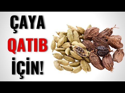 Video: Əkin etməzdən əvvəl çiyələk toxumlarını islatmalıyam?