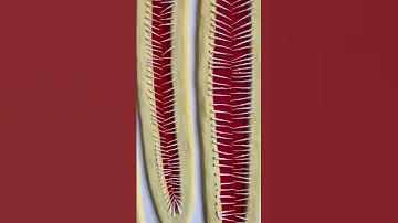 «Sweeps-10» | 2020 by Gleb Skubachevsky (available)