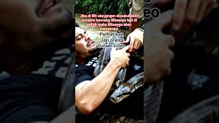 HOW TO RELEASE A SNAKE COIL
