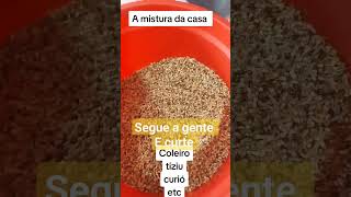 A Ração da casa Aminomix e óleo de coco