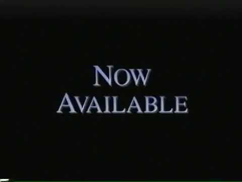 Now Available Bumper