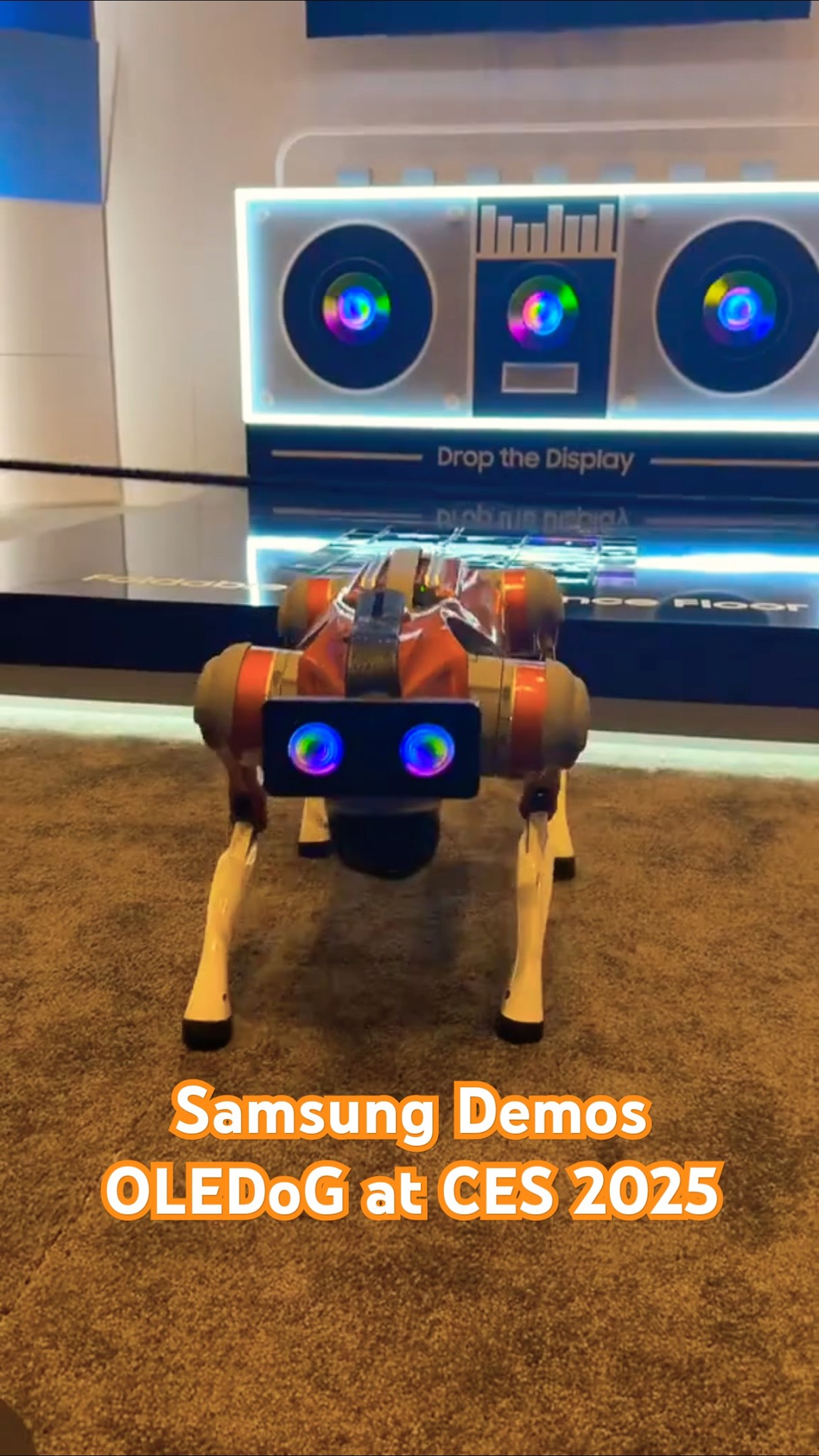 Samsung Demos OLEDoG at CES 2025