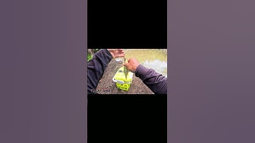 câu cá rô đông quá đã #fishing #carodong #tutaynam