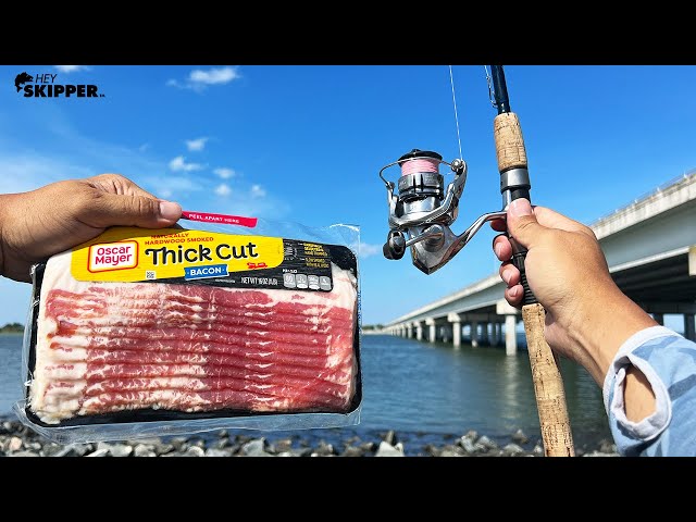 Fishing w/ Bacon to Catch Flounder Limit! (NO JOKE, ACTUALLY