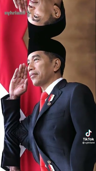 story wa pak jokowi dodo 30 detik