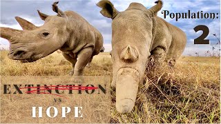 OL PEJETA CONSERVANCY | Last TWO Rhinos, Is There Still Hope? (ULTIMATE KENYA SAFARI Vlog Ep 3)