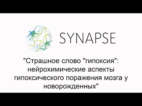 "Страшное слово "гипоксия": нейрохимические аспекты гипоксического поражения мозга у новорожденных"