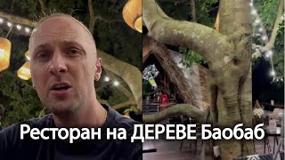 Роспакоука Ресторана на дереве. Three monkeys | zubarefff | Зубарев #обзор