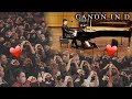 Pianist Plays Epic Canon in D (AUDIENCE LOVES IT!)