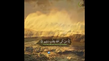 ولا تخزني يوم يبعثون أجمل تلاوة للقارئ أحمد النفيس  من سورة الشعراء