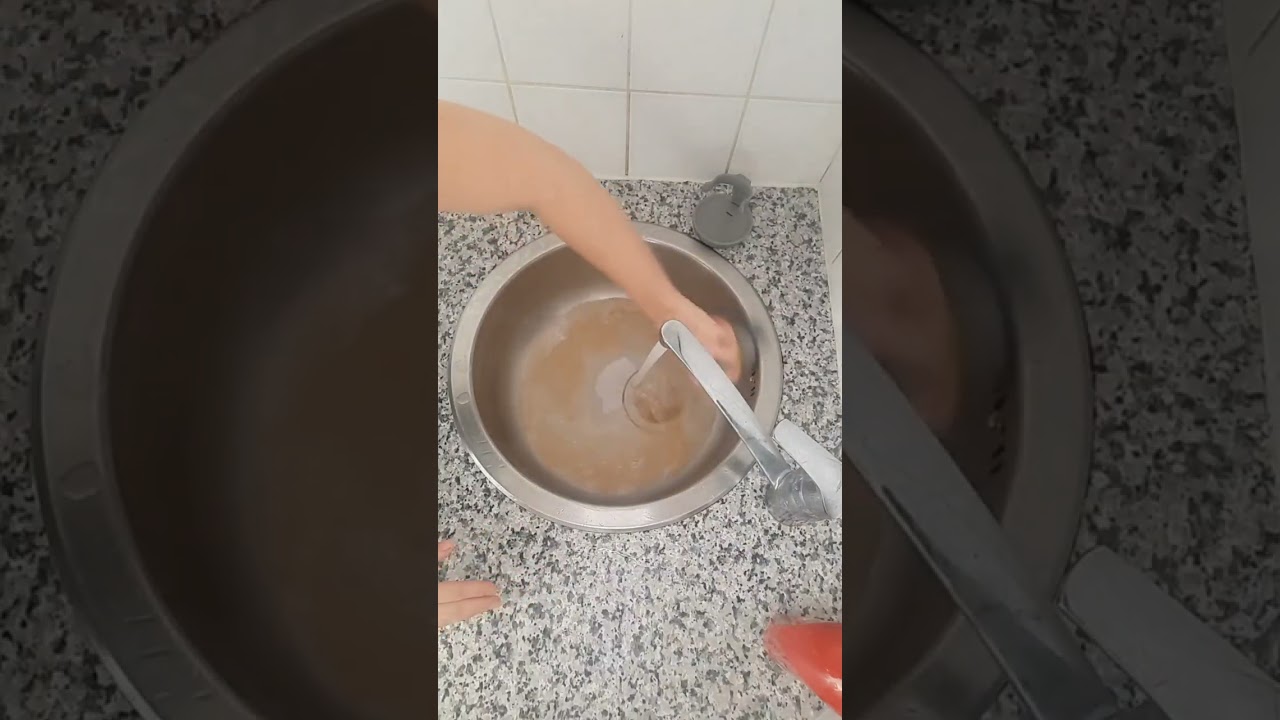 Dish Brush With Soap Dispenser 