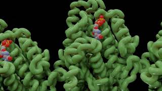 Project CTE Part 1: The Railroad Tracks of your Brain Neurons (6CVN)