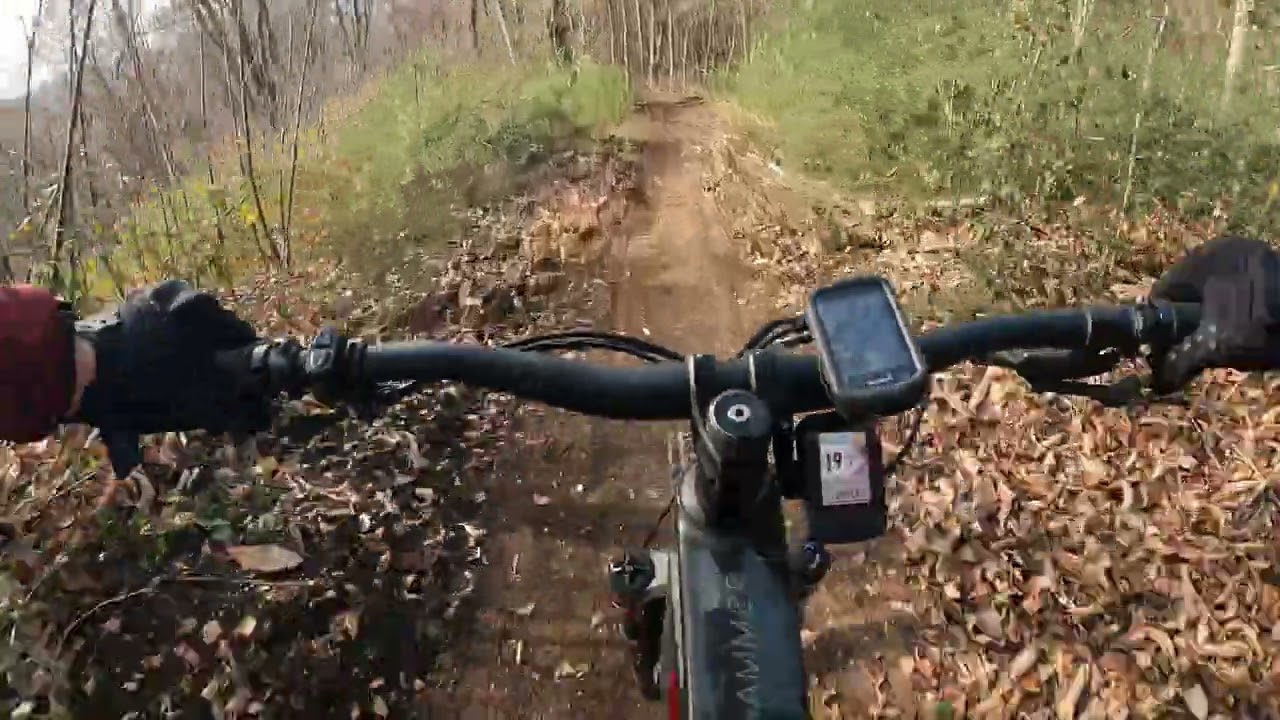 BLACK JACK  - Monte Fogliano Trail Area (VT)