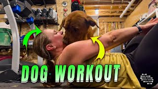 Playful Dog Doesn’t Want To Let Owner Workout