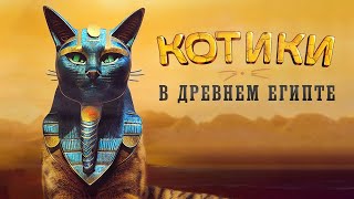 История Кошек. Жизнь Котов В Древнем Египте.