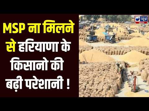 Haryana Paddy Procurement: मंडी में धान की भरमार, उठान नहीं होने से लगा जाम | Farmers News