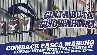 JADI TONTONAN 🔥 KACER CINTA BUTA - PASCA MABUNG - KACER JUARA