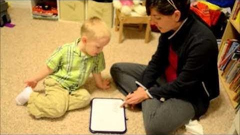 Children Learning Reading Program - Sight Words Video