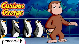 George&#39;s Night at The Zoo | CURIOUS GEORGE