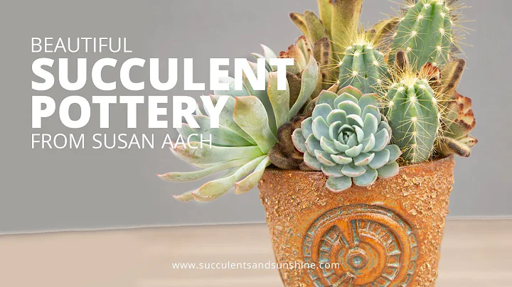 Tips for pairing succulents with ceramic pottery