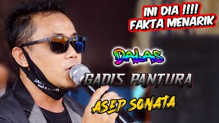 GADIS PANTURA - ASEP SONATA - REDYSTA LIVE NEGLA LOSARI 2014