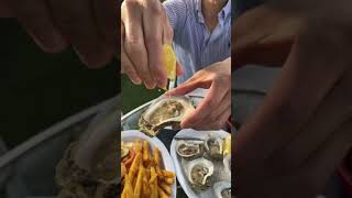 Fresh Raw Oysters
