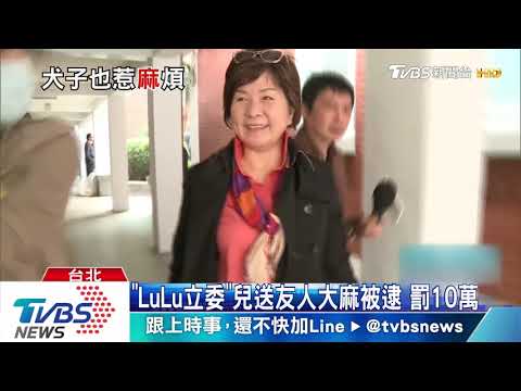 「LuLu立委」兒送友人大麻被逮　罰10萬