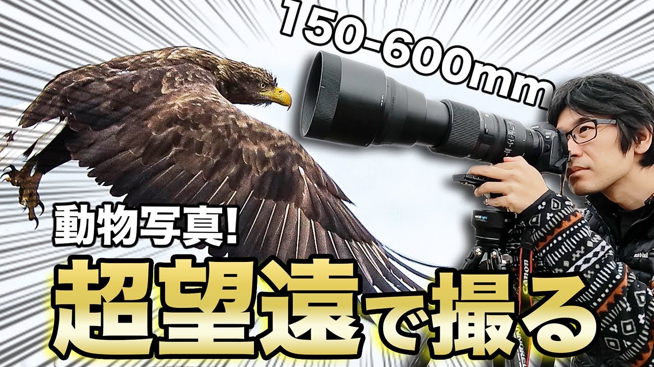 150-600mmの超望遠レンズで撮る動物写真が絶景すぎた！【写真家 