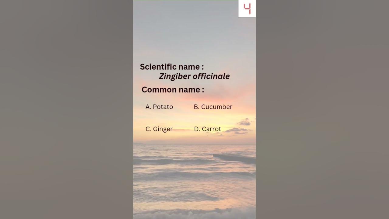 Botanical Name Quiz 3 shorts sciencename biologyquestions 