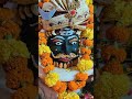 क्या कार्तिकेय की पूजा संपन्न हो पाएगी हर हर महादेव 30#ganpatibappamorya#mahadev #bholenath