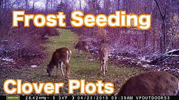 Frost Seeding Clover Food Plots - 4/26/15