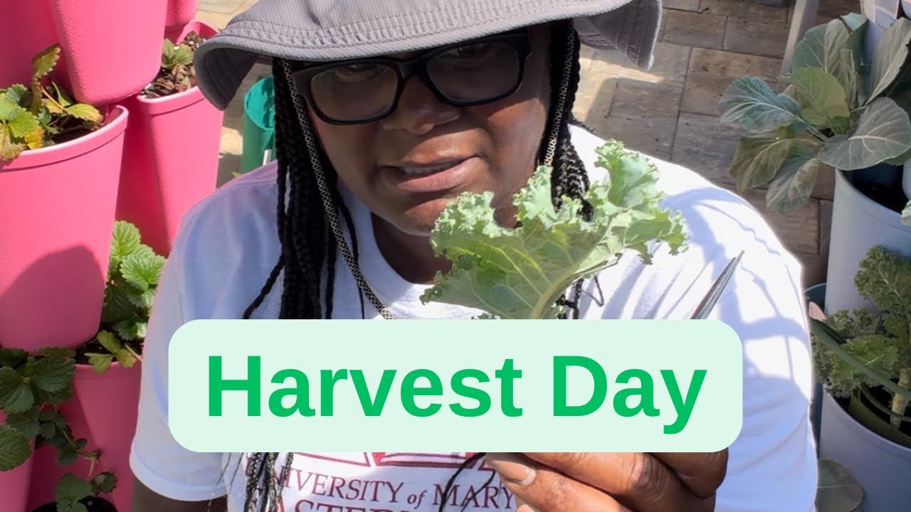 It’s Harvest & Fertilizer Day 