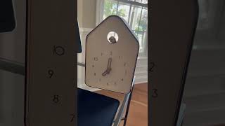 IMG 1436