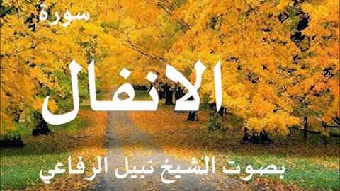 سورة الانفال بصوت الشيخ   نبيل الرفاعي 8