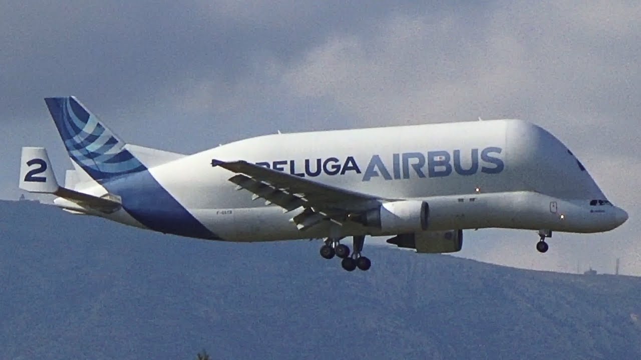 AIRBUS BELUGA LANDING at Athens International Airport | Planespotting 2024