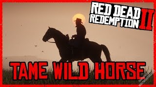 Tame a Wild Horse Quick - Red Dead Redemption 2 - Horse Guide