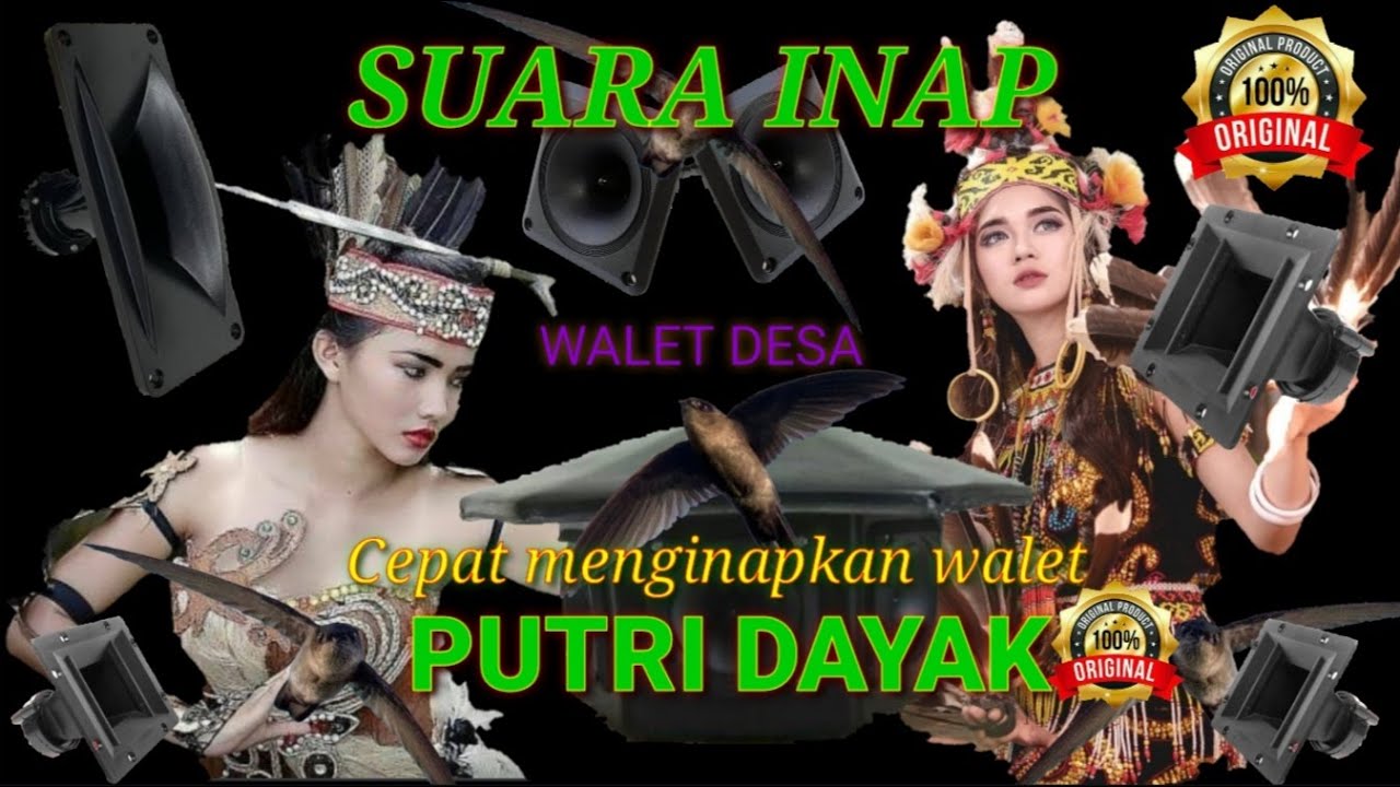 SUARA INAP WALET || PUTRI DAYAK ORIGINAL