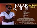      walid ali   halo halo  new ethiopian harari music 2023 zeylabari