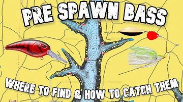 Pre Spawn | Spring Bass | Lake of the Ozarks