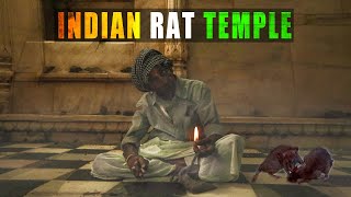 ذهبت داخل معبد الفئران في الهند | دوكو قصير