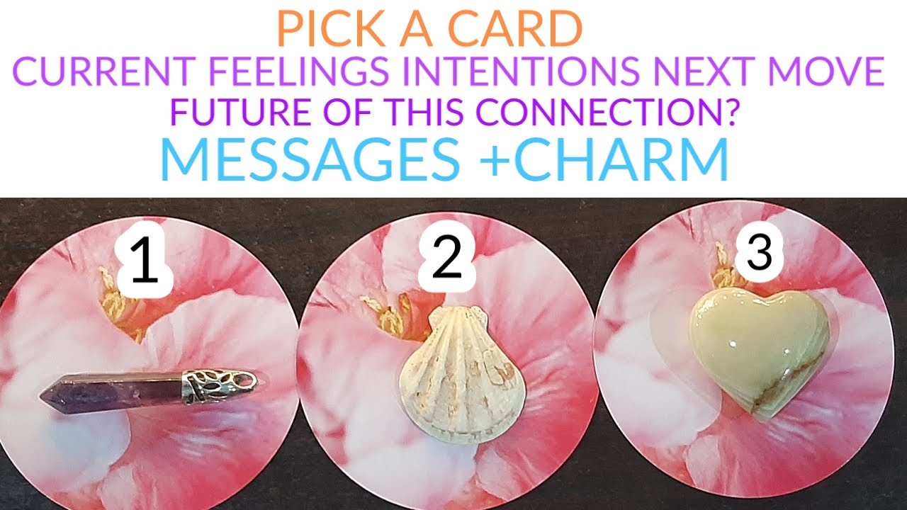 PICK A CARD 🔮 CURRENT FEELINGS, INTENTIONS, NEXT MOVE OF UR PERSON & WHEN 🤔 MSGS +CHARM ❤️ TIMELESS