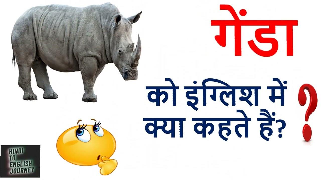 Genda Animal Genda Animal Ko genda-animal-genda-animal-ko