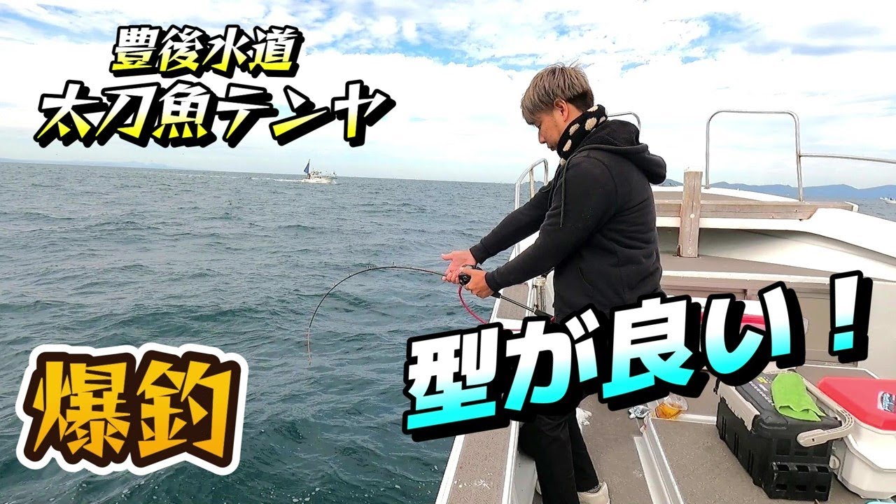 【爆釣】豊後水道の太刀魚は型が良い！