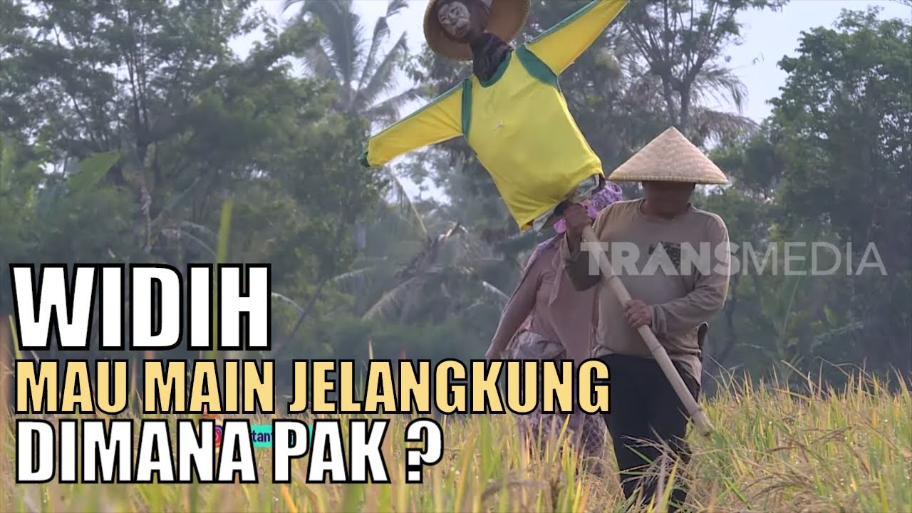 Burung Pipit Si Mungil Yang Suka Padi | SI OTAN